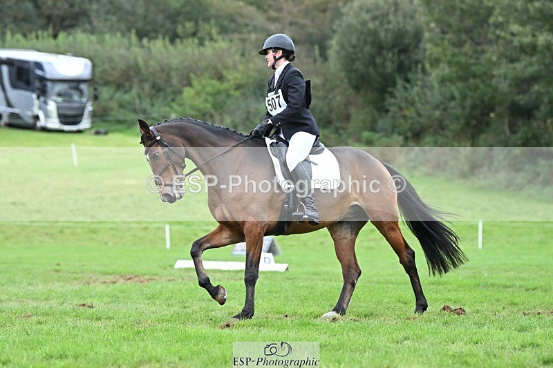 231020-154204-11246 - 507-EDGEDALE.BLUE.LADY-Katie.Lavin-DR