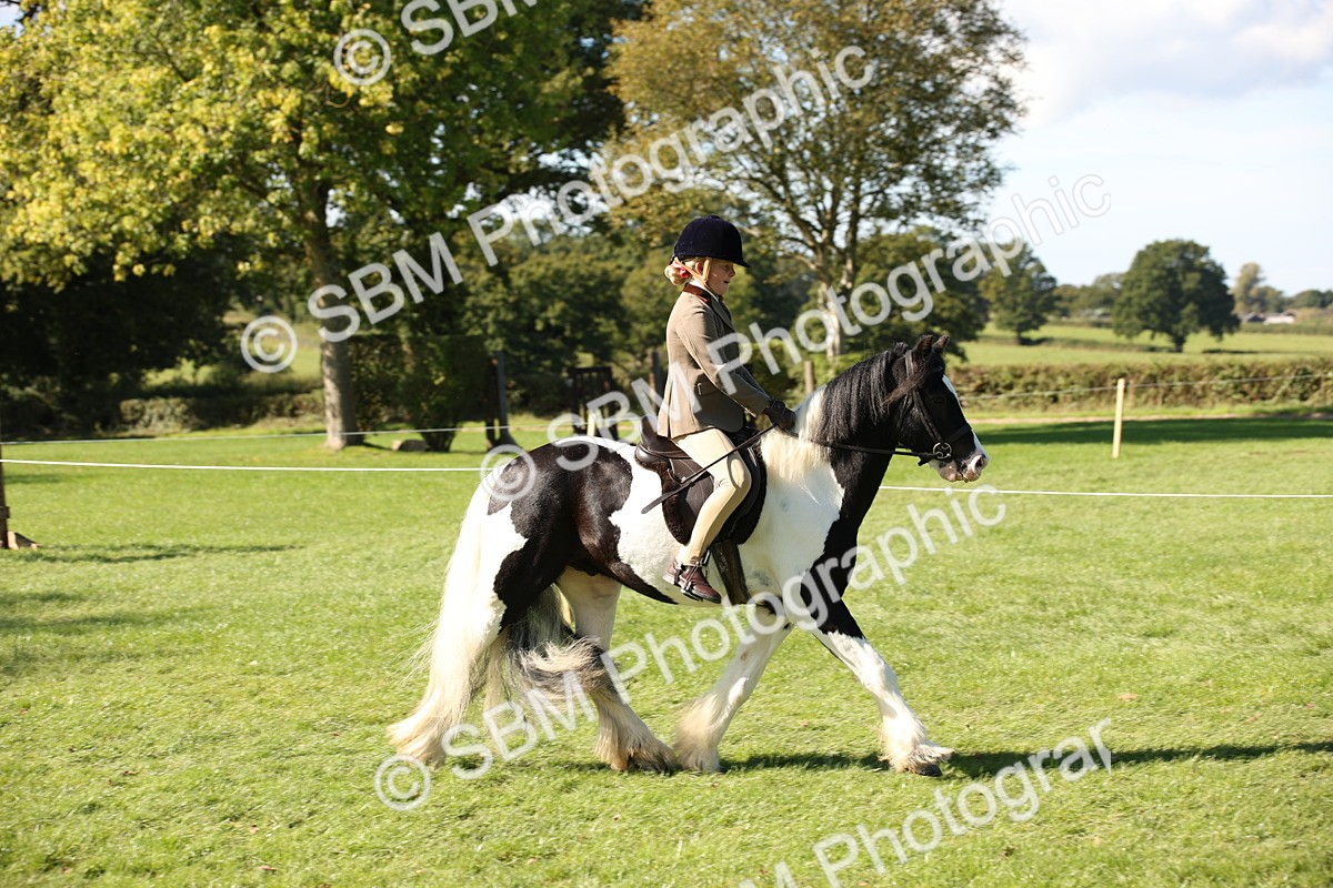 SBM_38961 - S11 - Best Ridden Horse & Pony