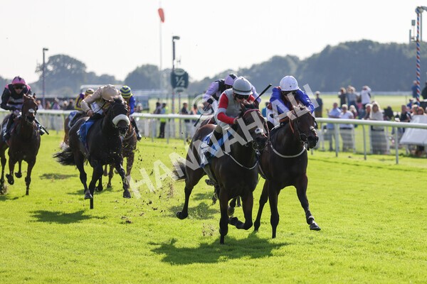 yr08102021r1-16 - Race 1 2.05pm Parsonage Hotel and Cloisters Spa Nursery Handicap