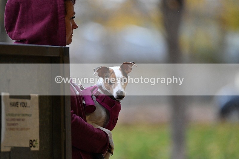 WJ5_8599 - Class 5 Novice Test 3