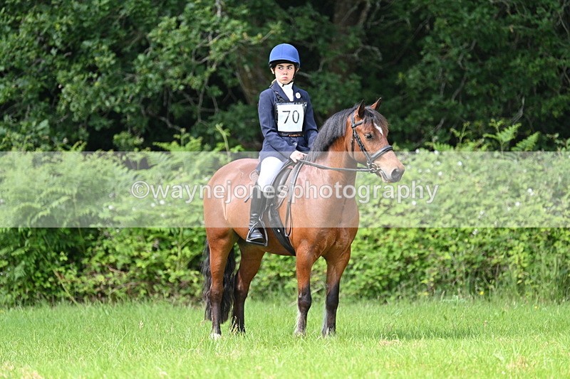 WJ7_1145 - Class 11 Condition & Turnout