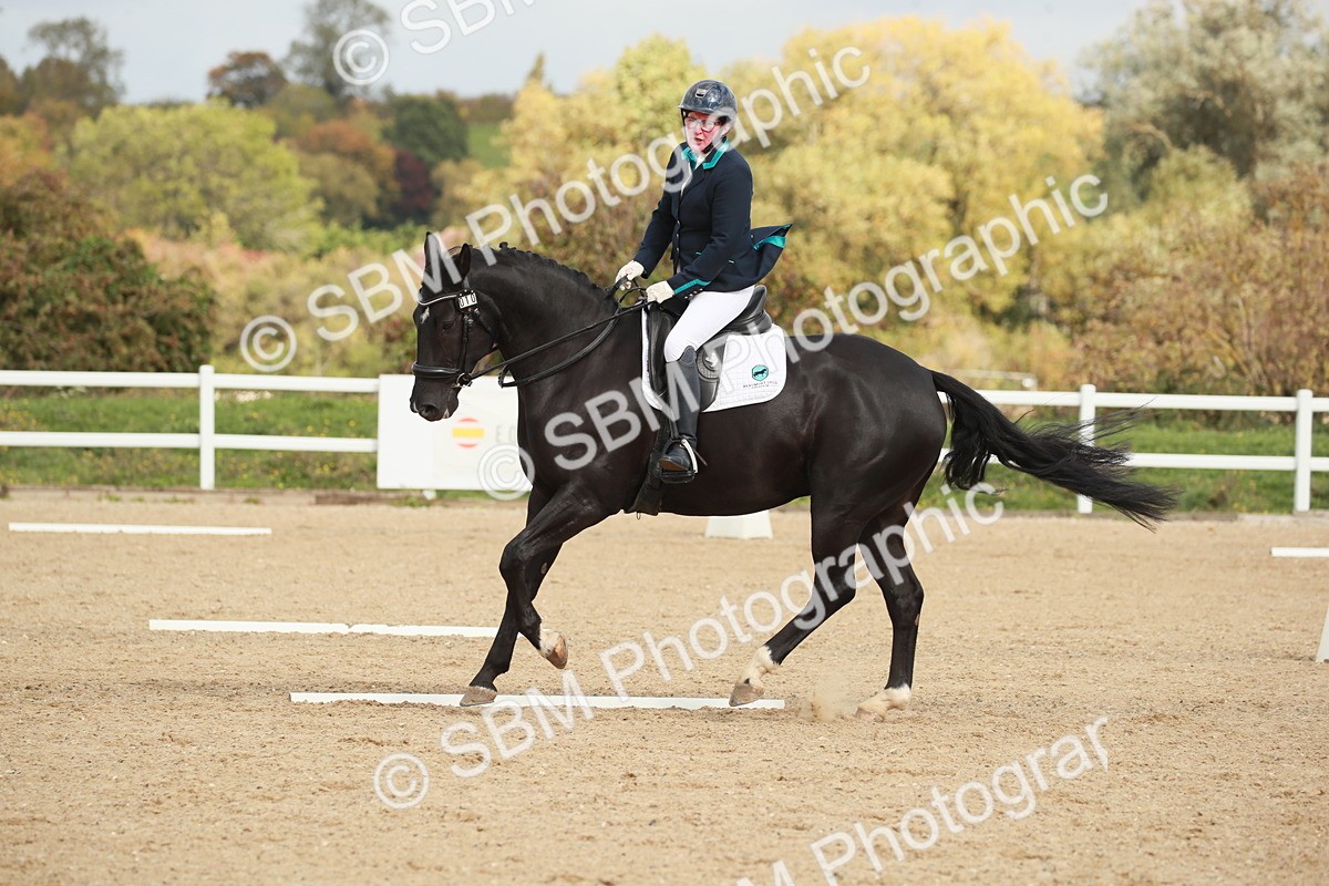 SBM_002129 - Class 6 - Elementary 5