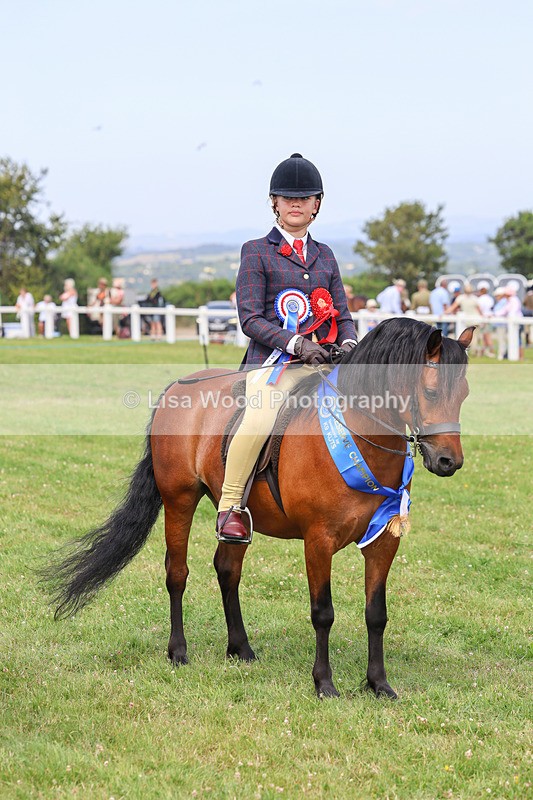 IMG_3742 - M & M Ridden Championship