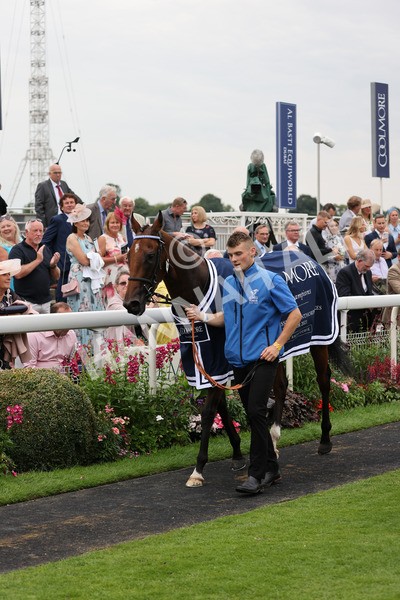 yr20082021r4-38 - Race 4 3.35pm Coolmore Wootton Bassett Nunthorpe Stakes (British Champions Series Race)