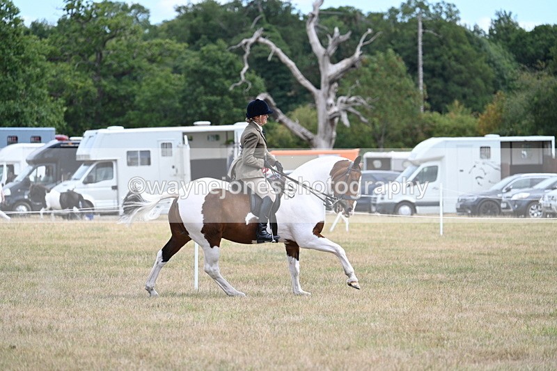 WJ7_5607 - Class 12 Ridden Cob