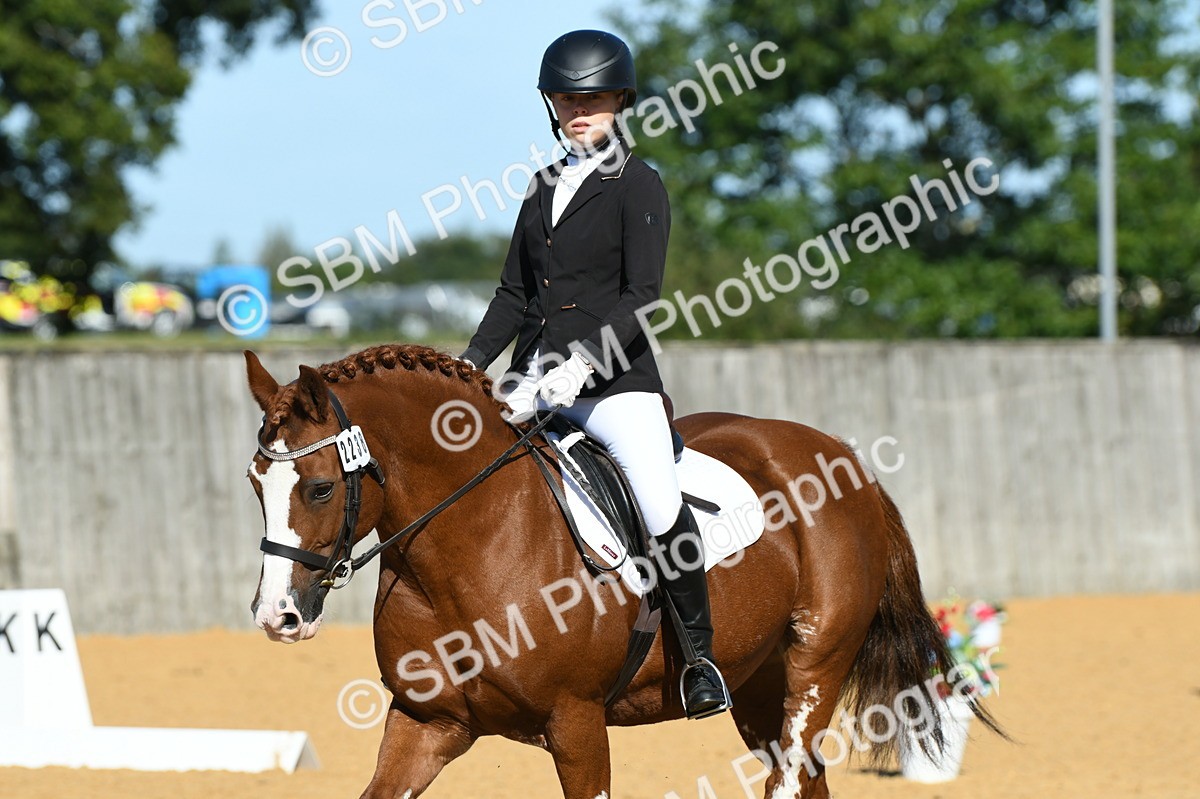 SBM_18022 - D4 - Small Tour Championship - Intro B