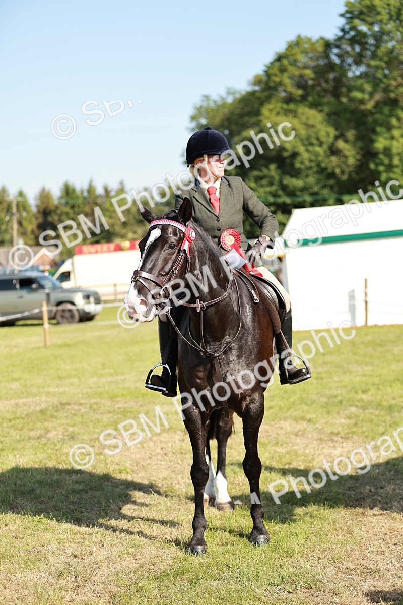 SBM_19320 - Class 115-116 - LIHS BSHA Rising Star Working Hunter & Show Horse