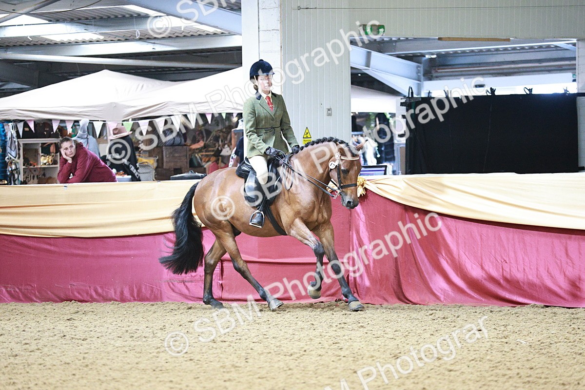 SBM_03557 - Class 6A Area Ridden Pre-Vet