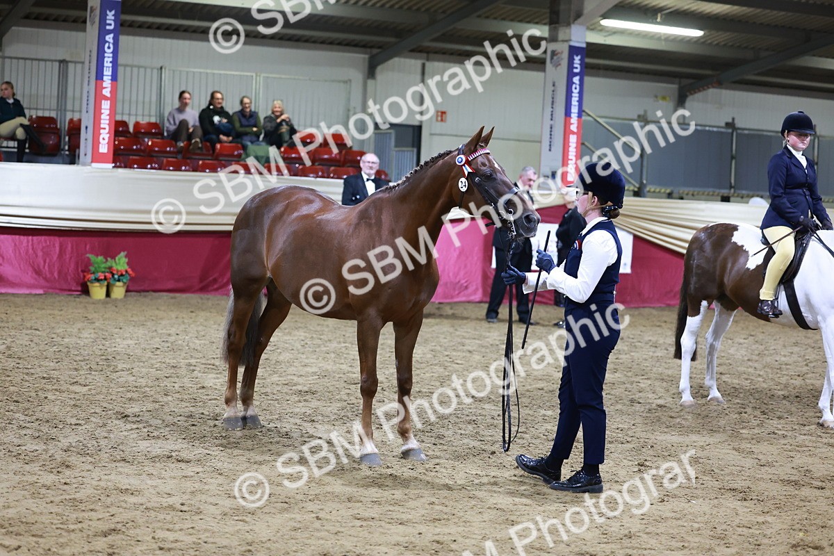 SBM_21231 - Class R - Veteran Champ