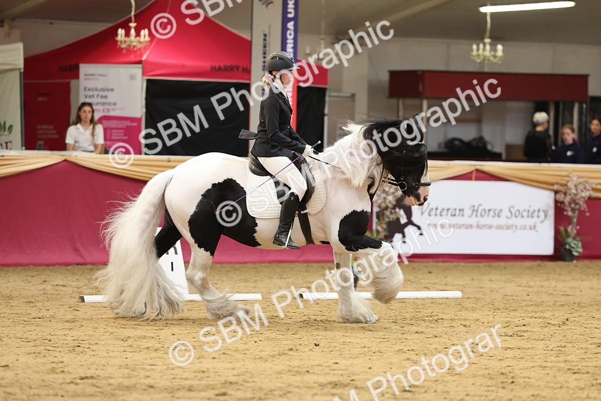 SBM_09332 - Class 51 - Dressage to music