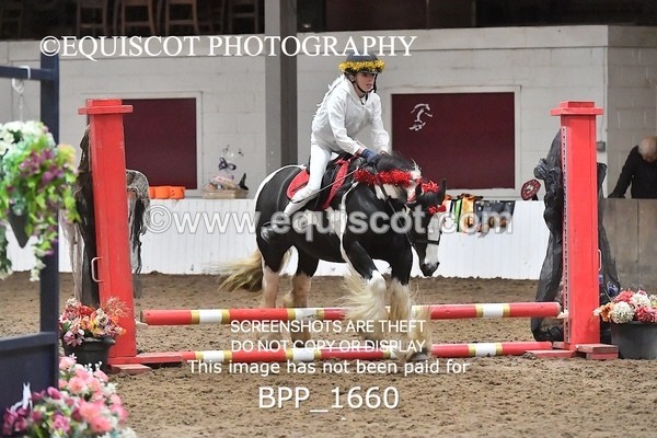 BPP_1660 - CLASS 2 TEAM SJ 40CM