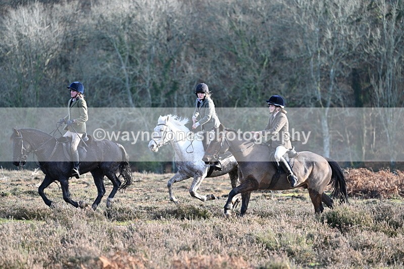 WJ7_7943 - Line 3 (no line 4 or 5)