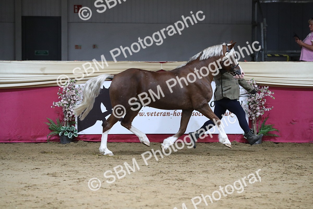 SBM_06362 - Class 9R Regional- IH Pre Vet