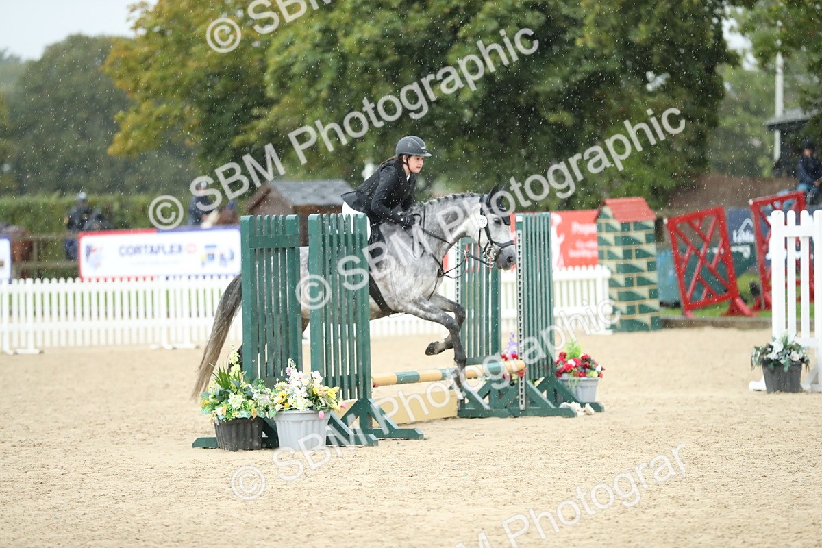 SBM_37129 - J20 - Junior Horse 50cm Championship