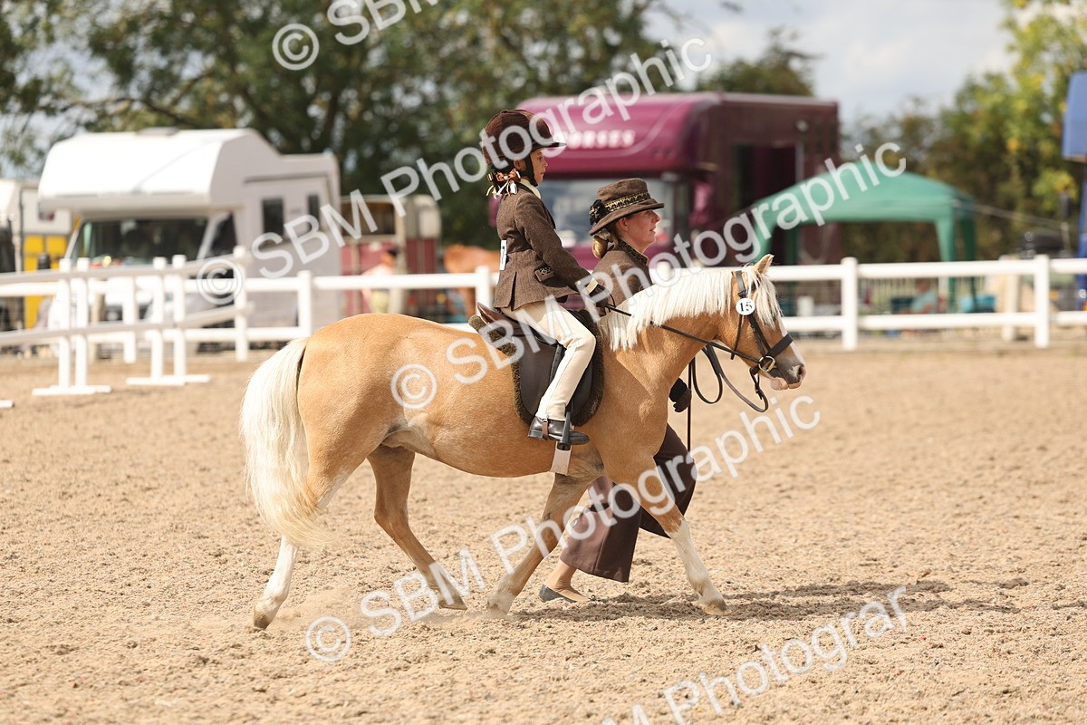 SBM_15763 - Class 309 - Lead Rein Pony