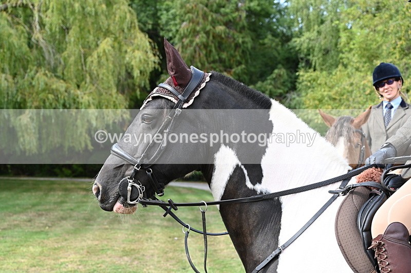 WJ6_3250 - Berks & Bucks - The Old farmhouse - Hound Exercise 20-08-25