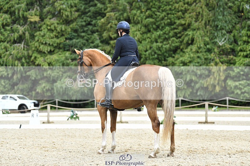 230812-144507-04791 - Cls 7 FEI PSG Bronze