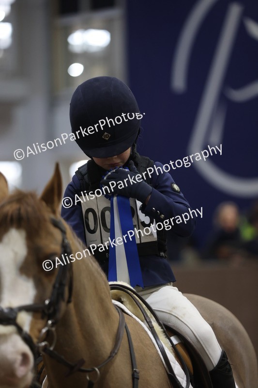 20260125-1741 - Class 2 - 50cm