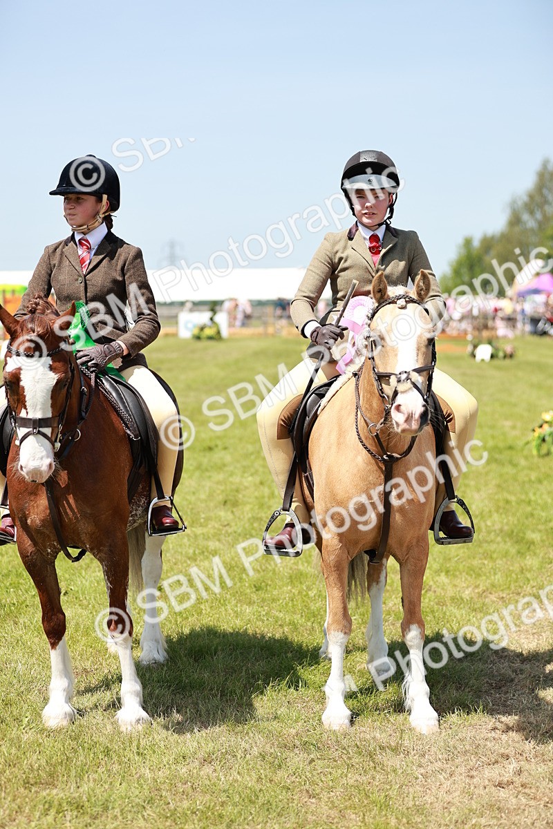 SBM_15727 - Class 108-109 - BSPS LIHS Open Gradle & Nursery Stakes