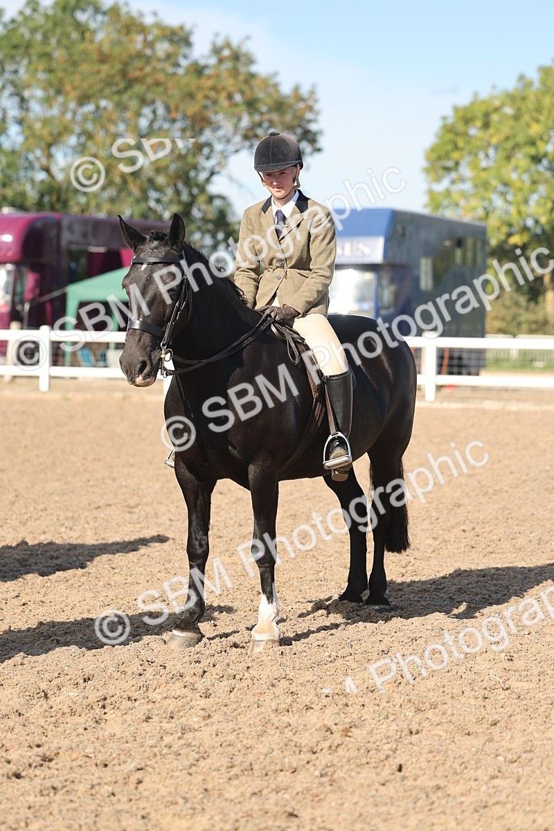 SBM_12372 - Class 304 - Ridden part Bred Horse Pony