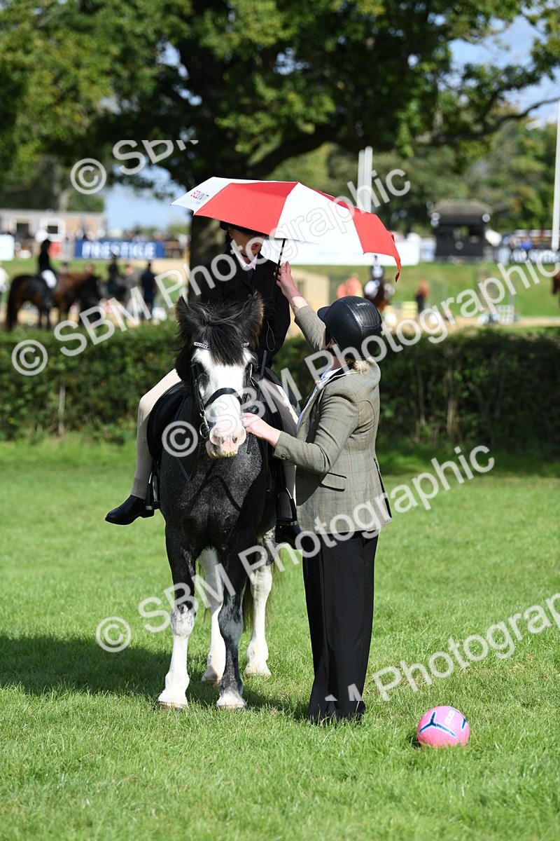 SBM_47094 - S12 - Family Horse & Pony