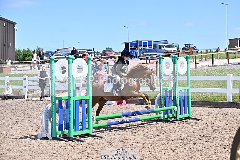 250517-125016-01179 - 50cm