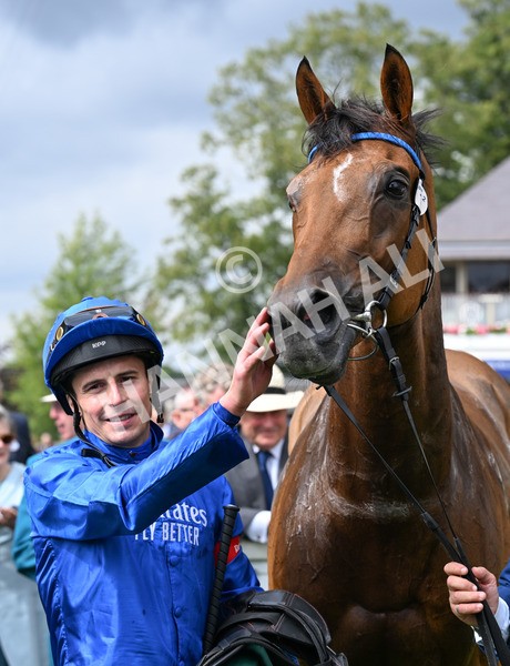 220825-089 Trawlerman - Race 2 2.25pm Weatherbys Lonsdale Cup Stakes