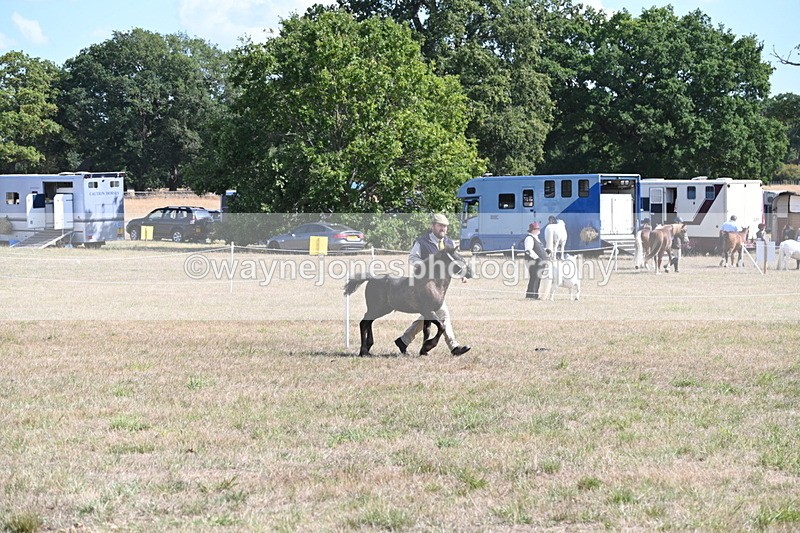 WJ6_5160 - Class 17 Mountain & Moorland