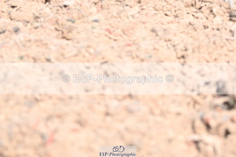 240621A-132704-03747 - Cls 8 BD Elementary 53