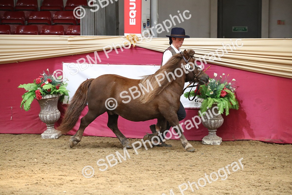 SBM_05462 - Class 8R - Regional IH Veteran