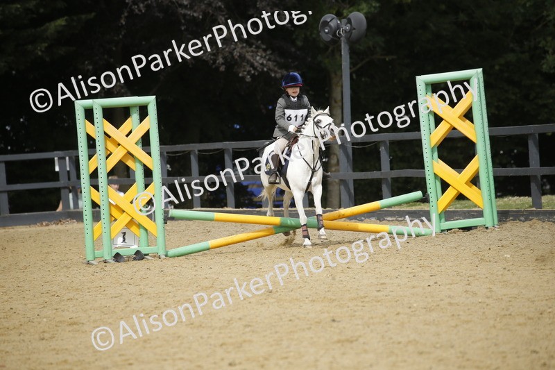 20250622-3707 - 50cm