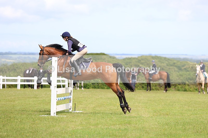 3E7A7630 - Class 13: Senior British Novice/90cm open