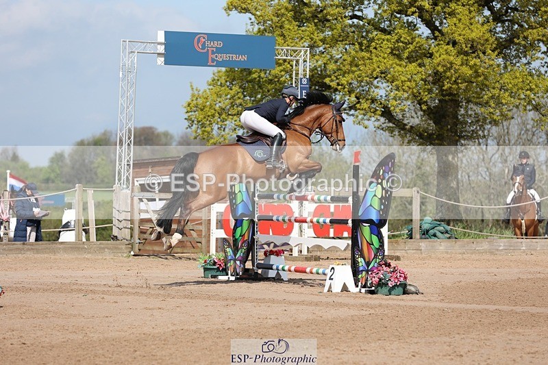 250427-104218-15555 - Cls 36 Young Horse 7yr old