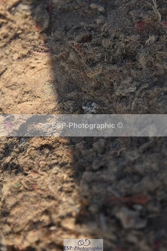 230915A-095724-00115 - Cls 8 85cm Amateur Qualifier