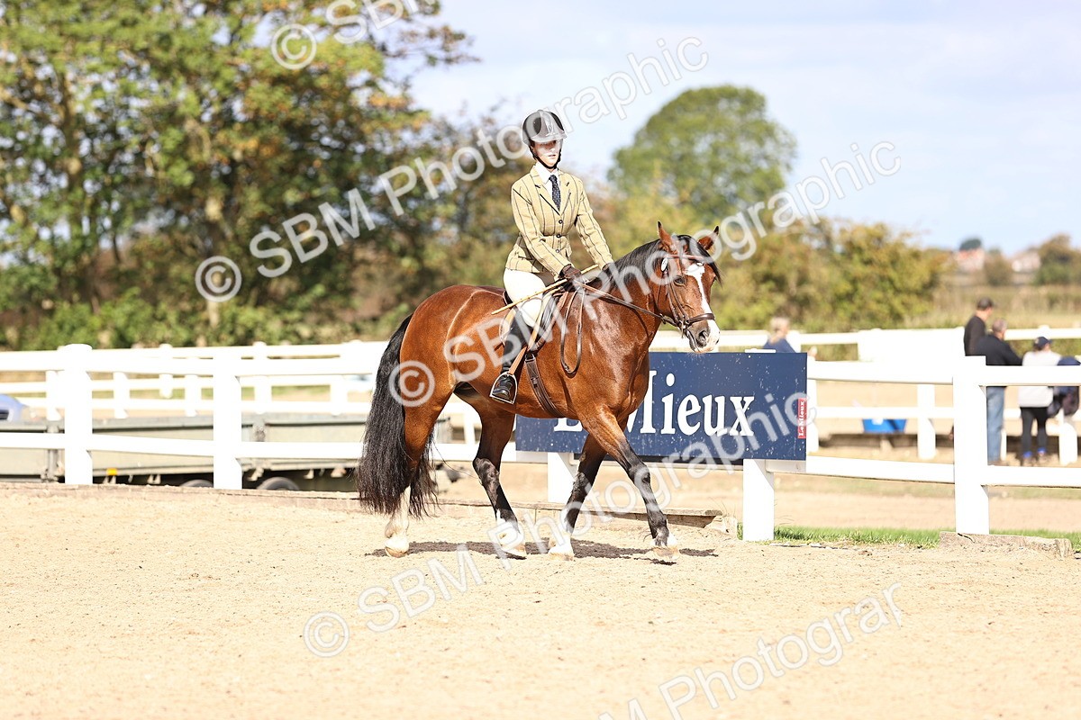 SBM_11596 - Class 408 - Grassroots Ridden - Walk & Trot