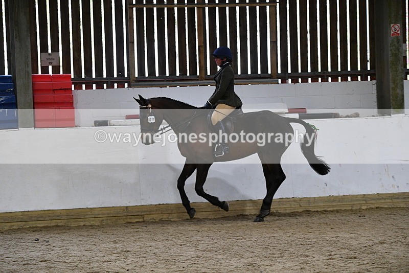 WJ5_8015 - Class 13 Ridden Part Breed