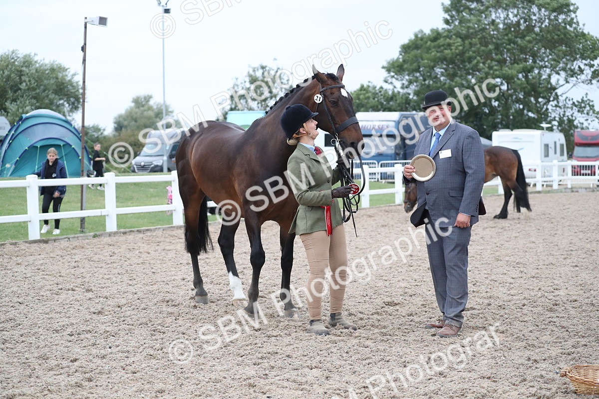 SBM_18411 - Class 318 IH Part bred Horse/Pony