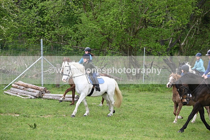 WJ6_3019 - A Camera