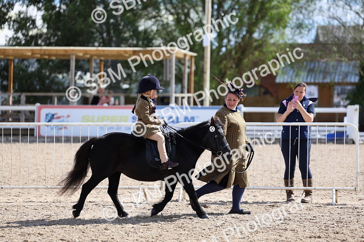 SBM_13048 - Class 309 - Lead Rein Pony