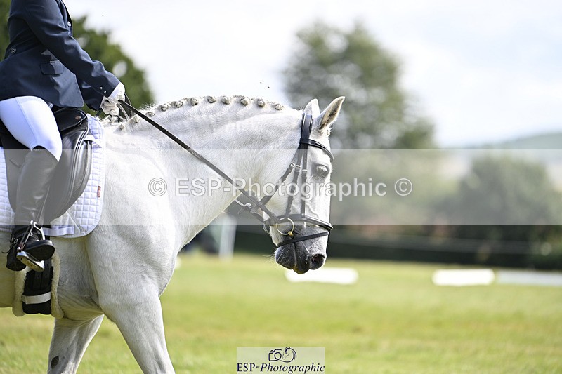 240824X-113510-25939 - D80 Section E and F 11.00 to 12.00