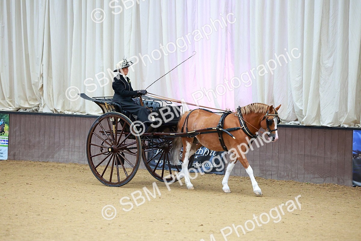 SBM_000006 - Class 1 - Non Hackney Private Drive 13.2hh and Under