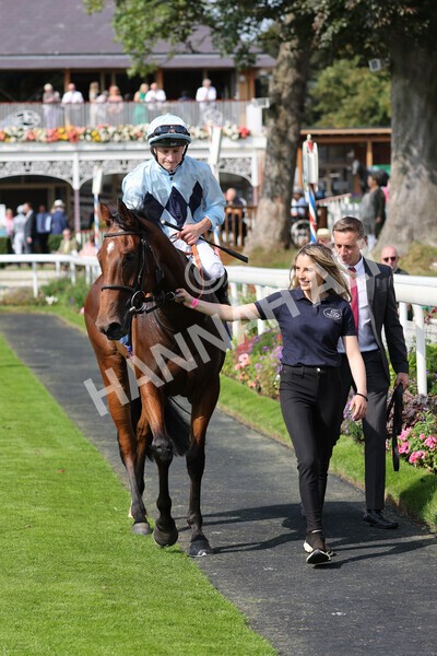 yr05092021r1-32 - Race 1 2.10pm IRE-Incentive It Pays To Buy Irish ebfstallions.com Novice Stakes