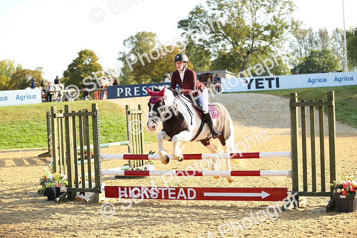 SBM_60166 - J41 - Grand Tour 95cm Championship