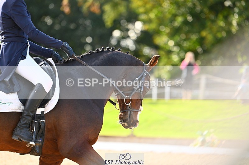 231021-141946-17806 - 356-KASAGRANDE.VR-Gemma.Watts-DR