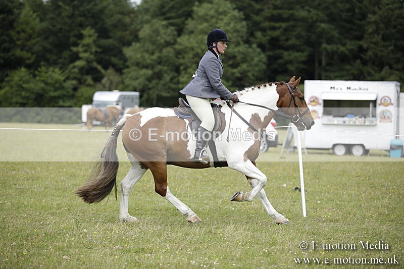 BVR160717-1888 - Ring 1 BVRC Show 16/07/17