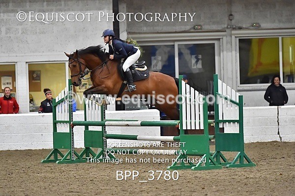 BPP_3780 - FRI CLASS 21 BR NOVICE/90CM