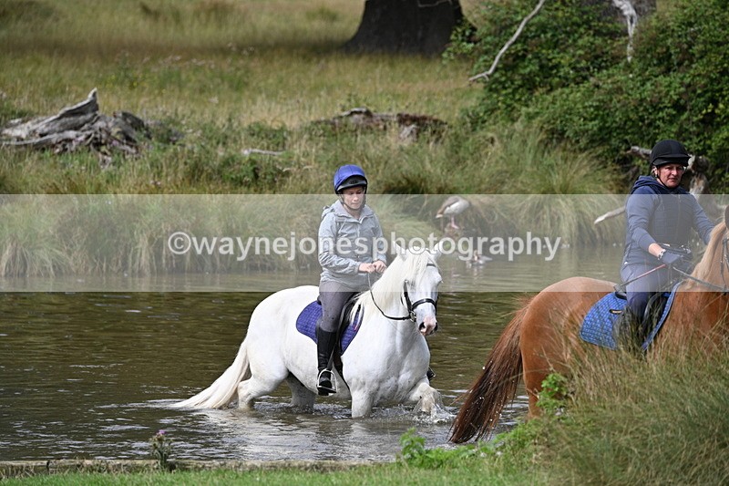 WJ7_1556 - Time at Water 10:48 to 11:13