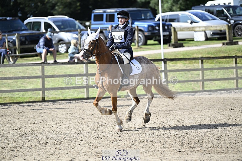 240823X-103627-15290 - 60cm R2 9.30 to 11.00