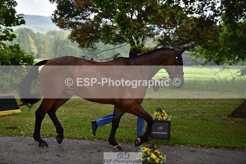 240522-151242-00170 - 308-COOLEY_ANYTHING_YOU_LIKE-Harry_Meade
