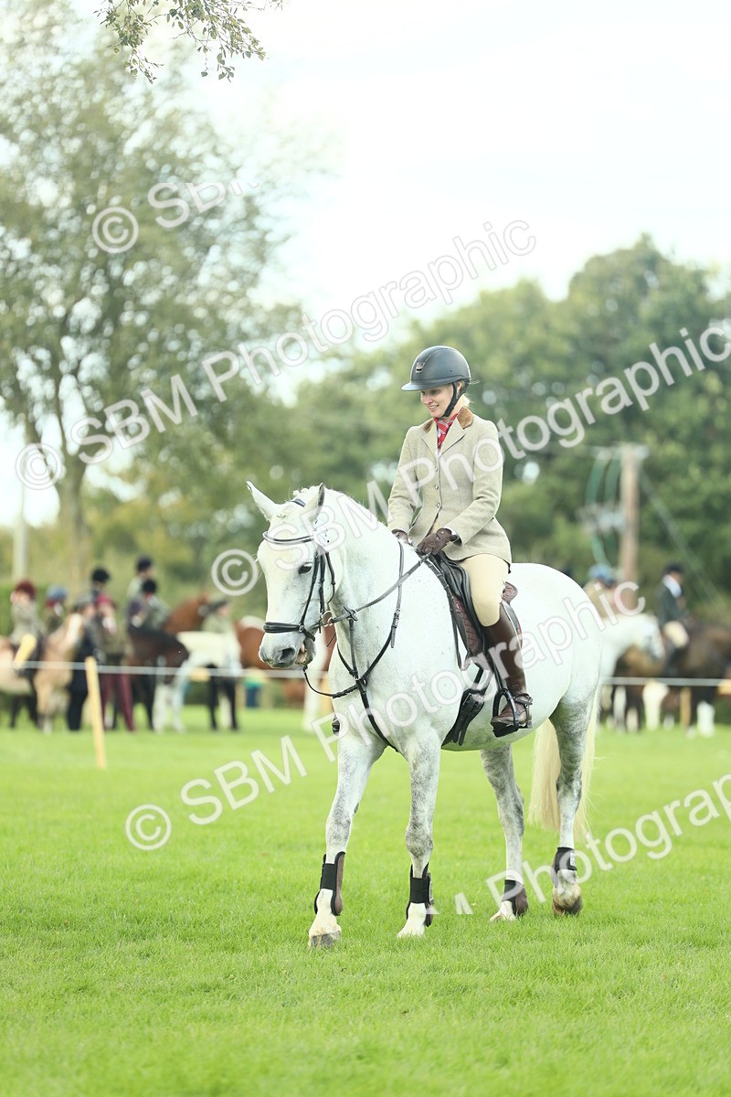 SBM_47970 - S32 - Novice & Newcomers Working Hunter